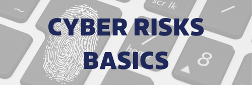 Cyber Risks Basics